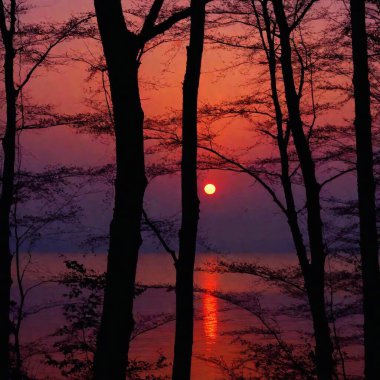 dark silhouette forest beneath red moon clipart