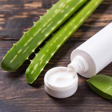 aloe vera leaves and aloe gel clipart