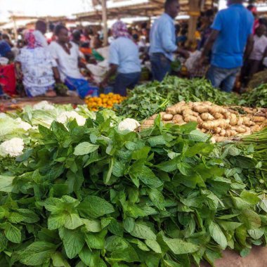 local market in the city of sri lanka clipart