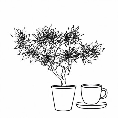 Create a minimalistic black and white line drawing style illustration with a white background, featuring a blossoming coffee tree clipart