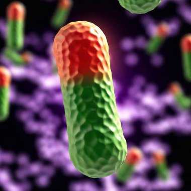 3 d illustration of human virus with bacteria clipart