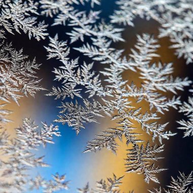 Create an Extreme Macro photo of Winter Solstice window decorations. Apply Rack Focus to zoom in on a specific detail, such as snowflakes or frosted glass, with a High Angle Shot to capture the decoration's close-up texture and design clipart