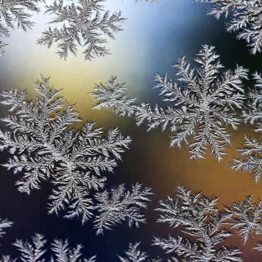 Create an Extreme Macro photo of Winter Solstice window decorations. Apply Rack Focus to zoom in on a specific detail, such as snowflakes or frosted glass, with a High Angle Shot to capture the decoration's close-up texture and design clipart