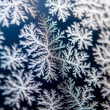 Create an Extreme Macro photo of Winter Solstice window decorations. Apply Rack Focus to zoom in on a specific detail, such as snowflakes or frosted glass, with a High Angle Shot to capture the decoration's close-up texture and design clipart