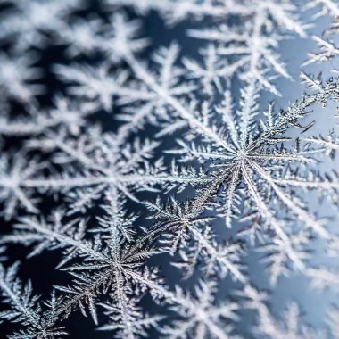 Create an Extreme Macro photo of Winter Solstice window decorations. Apply Rack Focus to zoom in on a specific detail, such as snowflakes or frosted glass, with a High Angle Shot to capture the decoration's close-up texture and design clipart