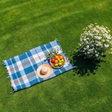 top view of a green lawn, a picnic blanket spread out and summer flowers on the edge of the picture clipart