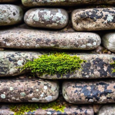 Ancient Ruins: A macro photo of an old stone wall, capturing the textures of moss, lichen, and weathered stone, laid out in a flatlay style with soft focus to create a sense of history and age clipart