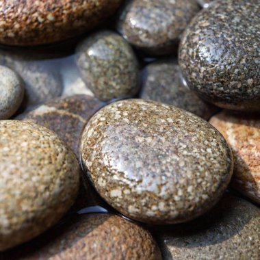 Stone and Water: A flatlay of smooth river stones arranged around a shallow dish of water, reflecting their textures and colors, captured in deep focus to reveal the interplay of natural elements in a serene setting. clipart