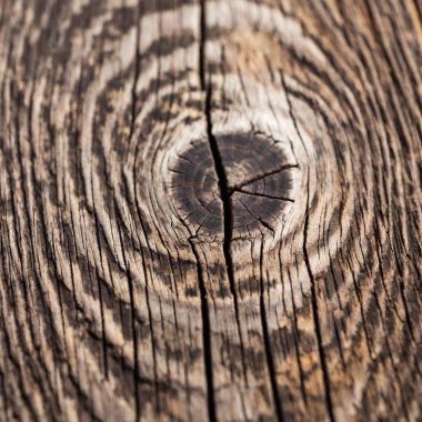 An extreme close-up of a weathered wooden plank, showcasing intricate grain patterns, visible knots, and a lightly distressed texture that adds character clipart