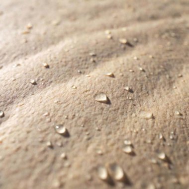 an extreme macro shot of a parchment featuring tiny, scattered imperfections like micro-tears or specks. The close-up should emphasize these small details and their effect on the overall texture of the parchment clipart