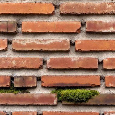 a brick wall texture background featuring a weathered, rustic look. Use faded, chipped bricks with visible signs of wear and tear, and incorporate moss or grime for an old, historical feel clipart