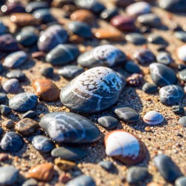 Macro View of Island Shoreline (Photo): A bird's-eye-view shot capturing the intricate details of the island's rocky shoreline, with deep focus revealing the texture of the sand, shells, and pebbles along the water's edge clipart