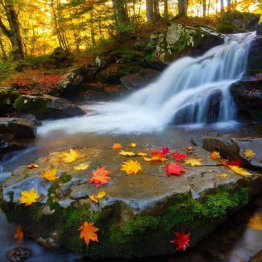 waterfall in the forest clipart