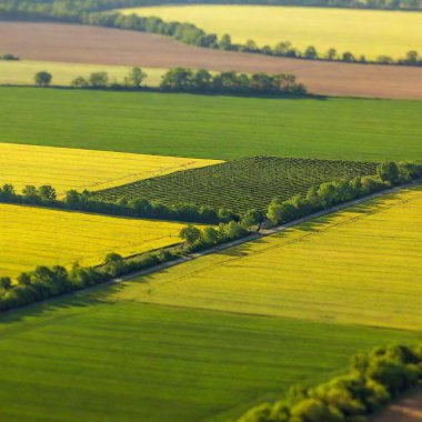 aerial view of a field of wheat and a green field clipart