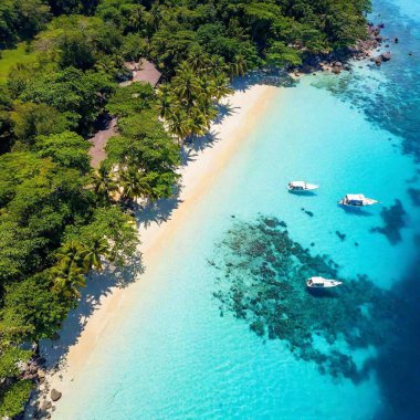 an aerial view of a remote, secluded beach with a crescent-shaped shoreline. Include clear, shallow waters, scattered seashells, and a few small boats anchored just offshore clipart