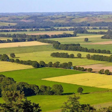 an expansive view of a tranquil valley with rolling hills and patchwork fields. Use lush greens, golden yellows, and earthy browns to depict the farmland, and include a winding river cutting through the landscape. clipart