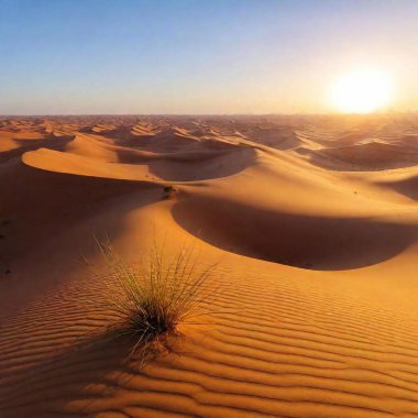 a breathtaking view of a vast desert at sunset. Capture the warm, golden hues of the sand dunes and the rich, colorful sky, with long shadows and a few scattered cacti or rock formations clipart