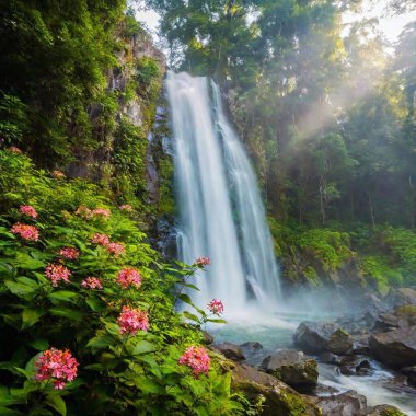 a captivating scene of a lush tropical rainforest with dense foliage and vibrant, exotic flowers. Include a cascading waterfall, mist rising from the jungle floor, and sunlight filtering through the canopy clipart