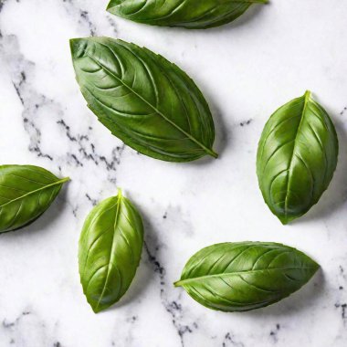 Fresh Basil Leaves of Fresh Basil Leaves on a Mermer Countertop: Taze fesleğen yapraklarının düz bir fotoğrafı mermer tezgahın üzerine serilmiş, her yaprağın pürüzsüz mermer yüzey karşı damarları ve dokusu derin odak göstermektedir.