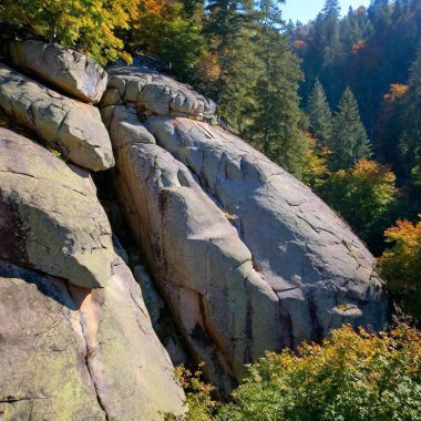 eye-level photo of a rocky mountain face, with deep focus highlighting the texture of the rock surface and any small details like cracks and crevices. clipart