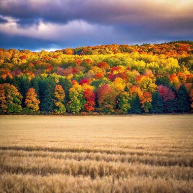 A full shot photo of a colorful autumn landscape, with deep focus at eye level showing the vibrant foliage, trees, and any scenic hills or fields in the background. clipart