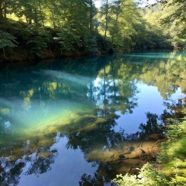 A full shot of a quiet river  with fish flowing through a forest at eye level, with trees lining the banks and reflections in the water. clipart