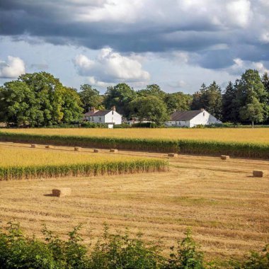 A full shot of a countryside field at eye level, with rows of crops and a farmhouse in the background. clipart