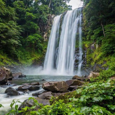 A full shot eye-level photo of rain forest scenery, capturing a cascading waterfall surrounded by thick foliage, with soft focus enhancing the lush, natural beauty. clipart