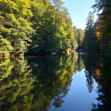 A full shot of a quiet river  with fish flowing through a forest at eye level, with trees lining the banks and reflections in the water. clipart