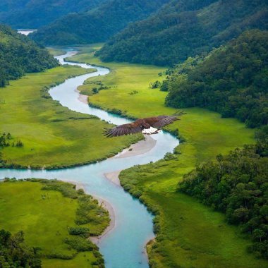 An eagle flying over a winding river through a lush valley clipart