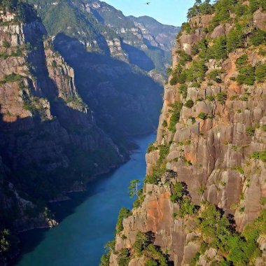 Birds flying through a canyon with towering cliffs clipart