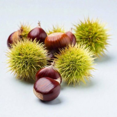 A high-resolution ultrarealistic image, showcasing a cluster of freshly harvested chestnuts and their spiky green husk against a pristine white background. The digital photo art captures the shiny, rich brown tones of the smooth chestnuts clipart