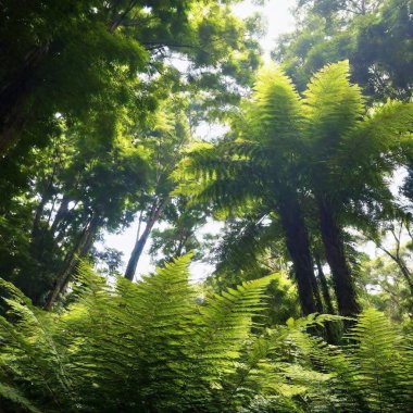 A high-resolution ultrarealistic image of a lush, dense jungle scene captured through digital photography. Towering trees and vibrant green foliage blanket the entire frame, creating a rich tapestry of nature. Shafts of sunlight pierce through the clipart