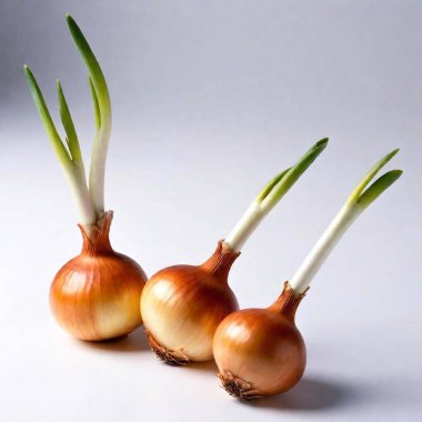 A high-resolution ultrarealistic image depicts three golden onions with their dry, papery skins intact. The onions have a glossy, smooth surface and subtle gradient hues ranging from pale tan to golden brown. Set against a pristine white background clipart