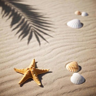 A high-resolution ultrarealistic image set in a minimalist beach setting. The digital photo features soft, finely detailed sand textured with gentle, wave-like patterns. On the right side, a green palm leaf adds a natural touch, casting delicate clipart