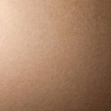 A high-resolution photograph of a blank brown cardboard surface, captured in a minimalistic and straightforward manner. The image showcases the texture and fine details of the cardboard, highlighting its fibrous and slightly rough surface with small clipart