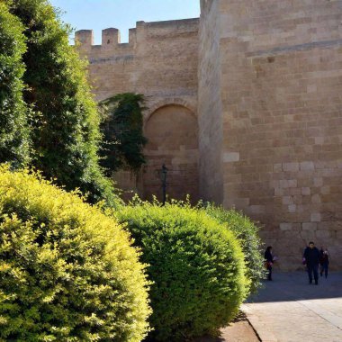 A high-resolution photograph capturing a historic, ancient stone wall bathed in warm sunlight, with people gathered at its base. The wall is built of large stone blocks with occasional green plants growing from crevices. The scene features a variety clipart