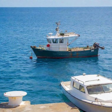 A full shot of a fishing boat with a catch of fish displayed on the deck, with soft focus emphasizing the boat and crew while gently blurring the surrounding sea and sky clipart