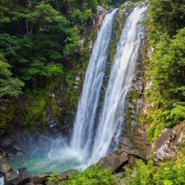 Lush Jungle with Waterfall: High-angle shot of a waterfall cascading down rocks, surrounded by vibrant, green jungle vegetation with vines and moss-covered trees. clipart