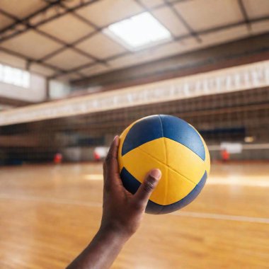 volleyball ball in the gym clipart