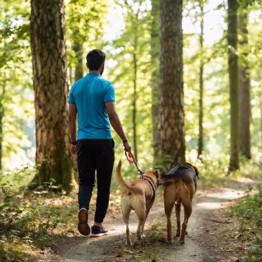 man  walking through the woods with his dog on a leash. clipart