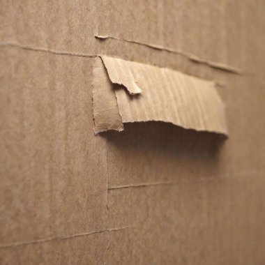 Close-up of a torn piece of cardboard, focusing on the rough edges and fibers. clipart