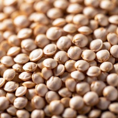 Macro of quinoa grains with tiny details visible. clipart