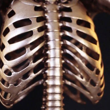 A close-up shot of a person's exposed rib cage, showing techno-organic ribs made of flexible, pulsating organic-metallic matter.  clipart