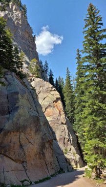 Mountain Landscape Skirt: A high-waisted skirt designed to mimic the cascading landscape of rocky mountains, with layers of contrasting earthy tones, fabric cutouts resembling jagged rock formations, and small, embroidered evergreen trees scattered clipart