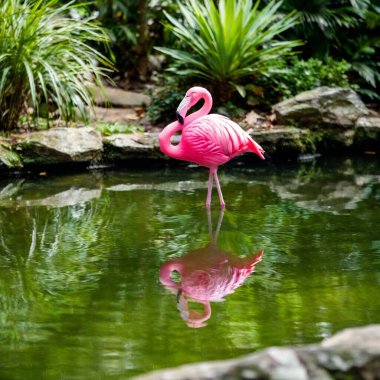 A plastic-style flamingo figure on a small pond. clipart