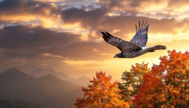 Craft a diorama showcasing a regal hawk soaring above the treetops, with a backdrop of brilliant autumn colors. clipart