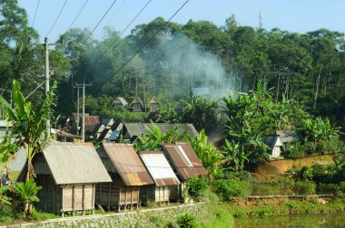 Kırsal manzara, basit evler ve uzun ağaçlar.