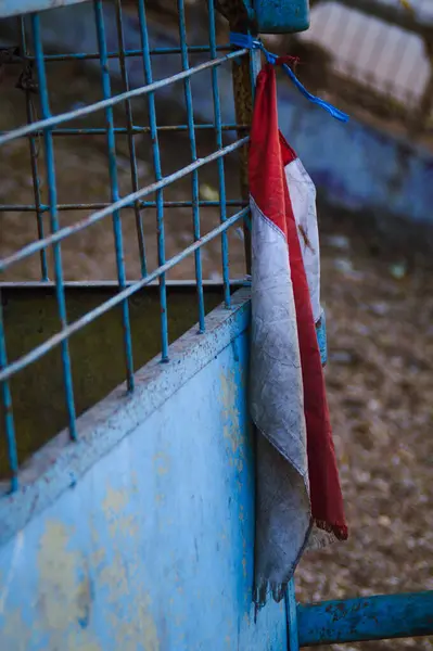 Bir arabaya bağlı Endonezya bayrağı