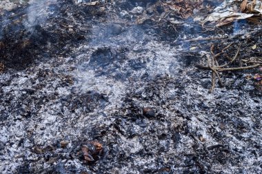 Yanan yapraklardan kül